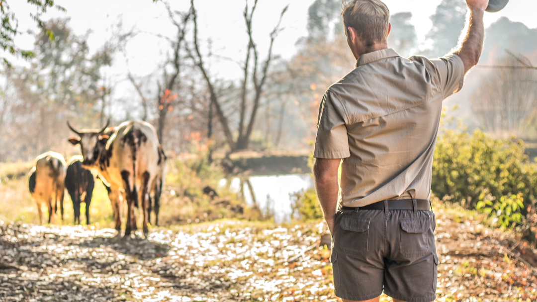 Trappers | Iconic shorts