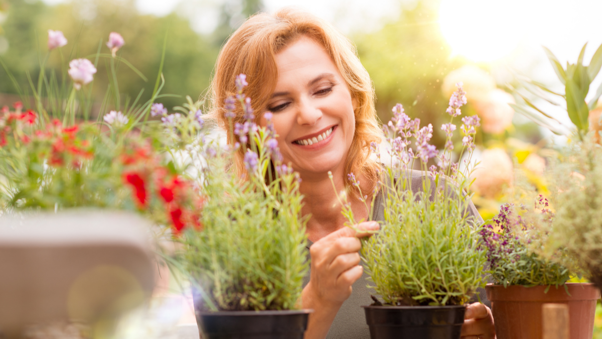 Celeberate Garden Day | 20% Off