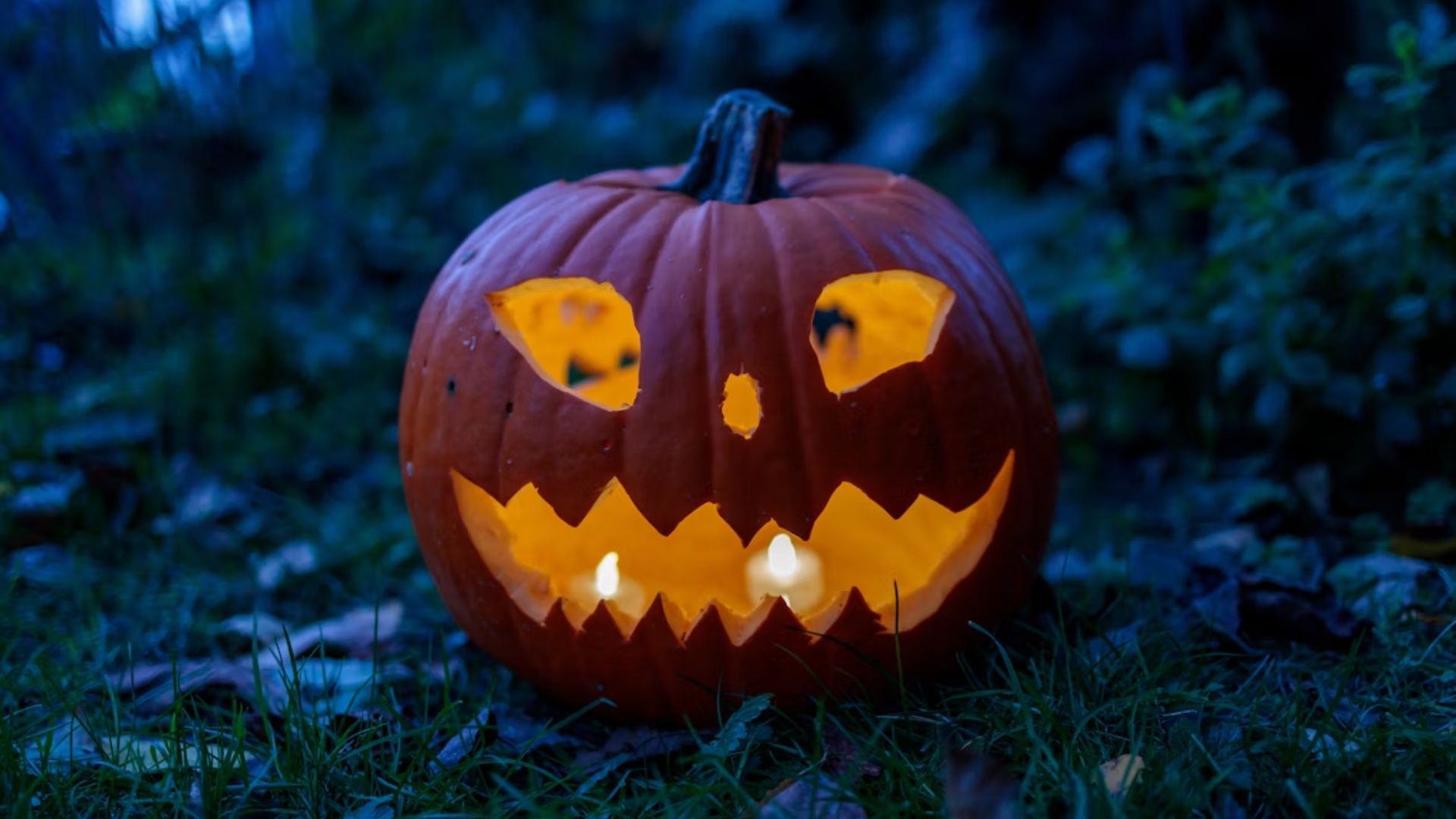 The Crazy Store | Spooktacular Savings at The Crazy Store!
