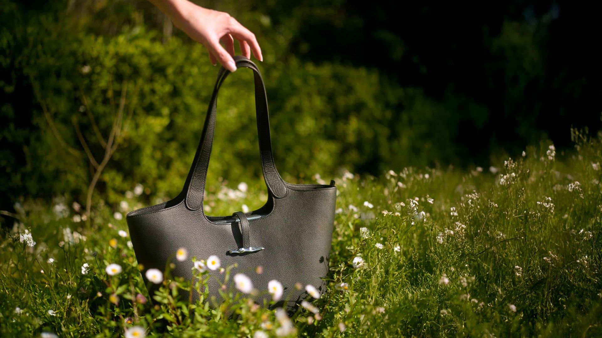 Carrol Boyes | A Fushion of Heritage & Modern Elegance