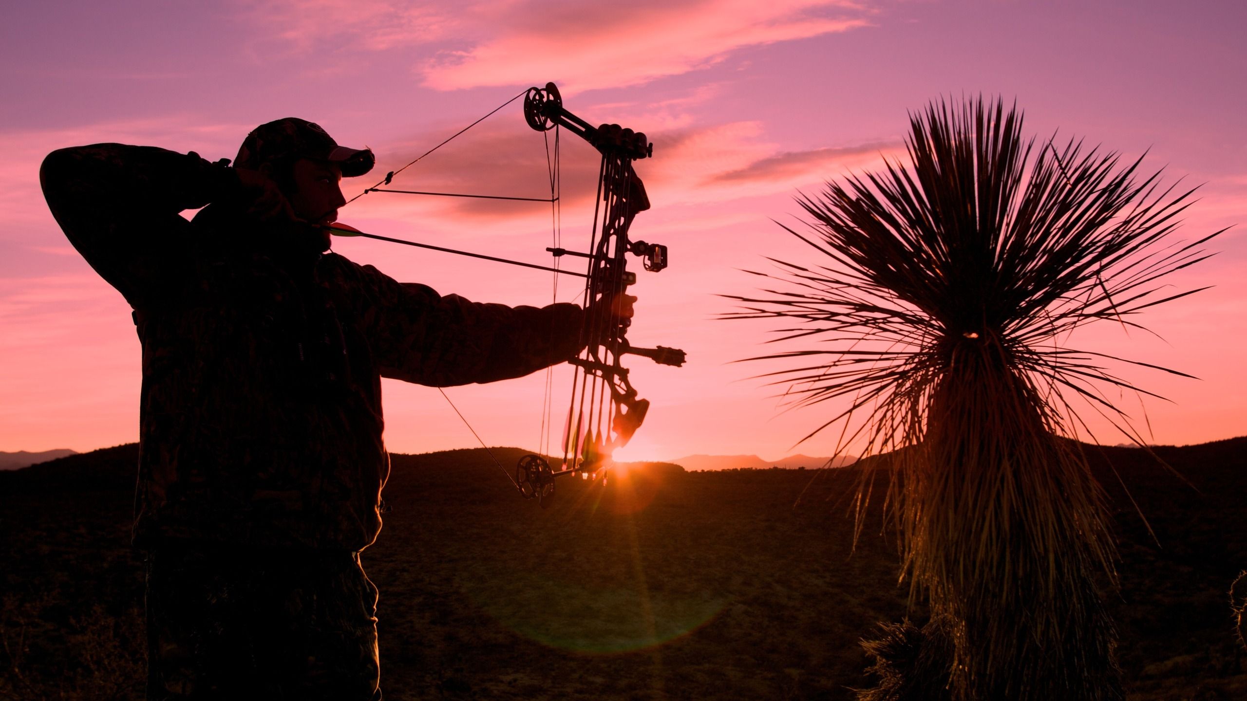 Blades & Triggers | ASG Combo Deals