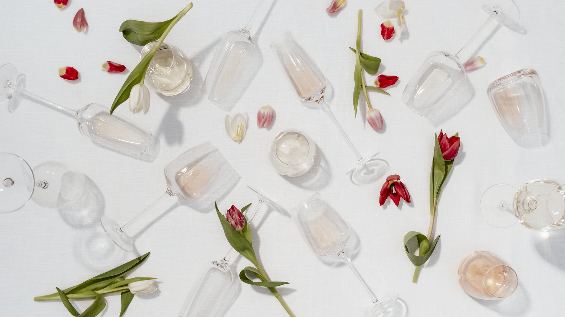 Carrol Boyes | Elegance in full bloom