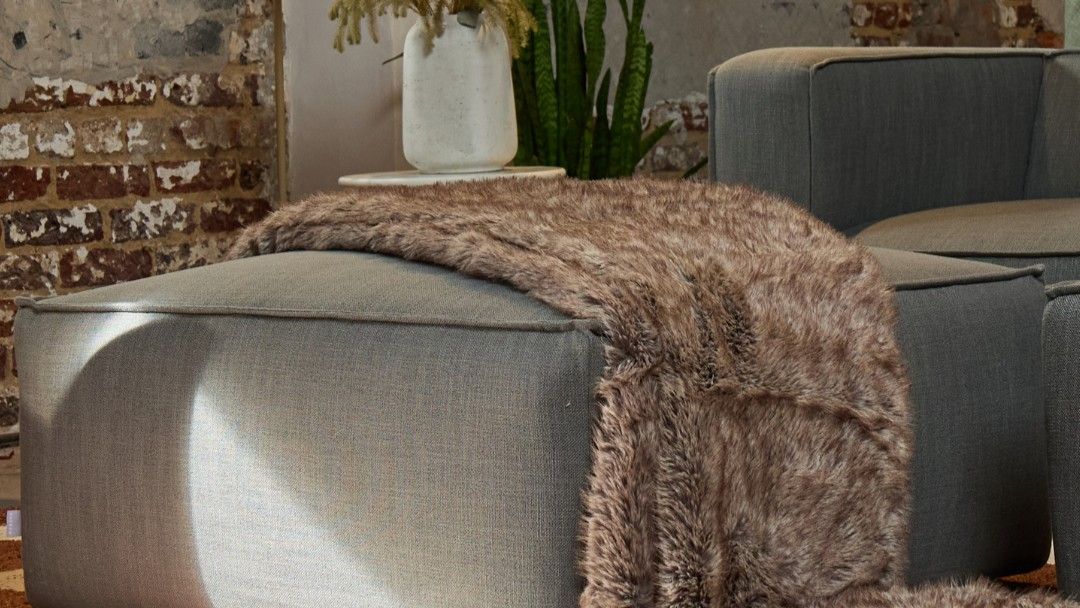 Zorora | December Offers