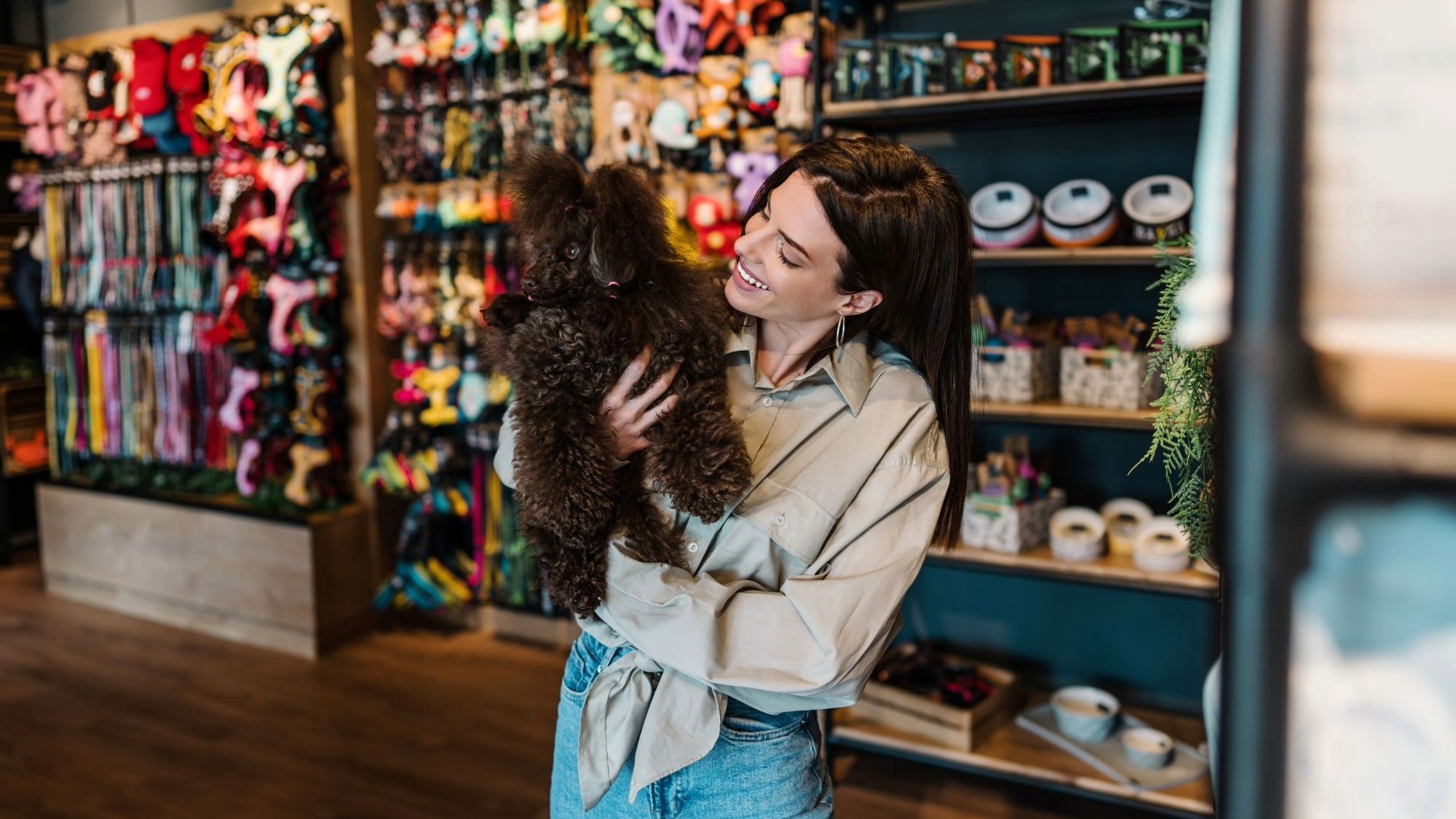 Pamper your Furry Friends at Woodlands Boulevard