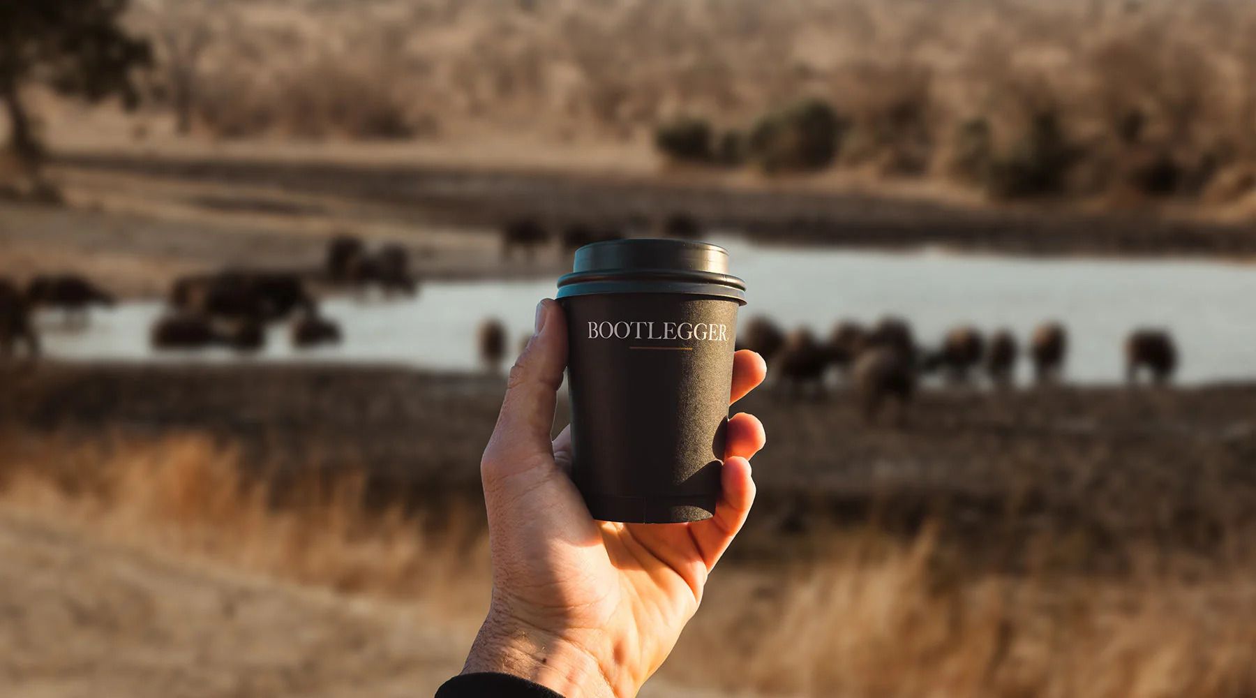 Bootlegger | Competition