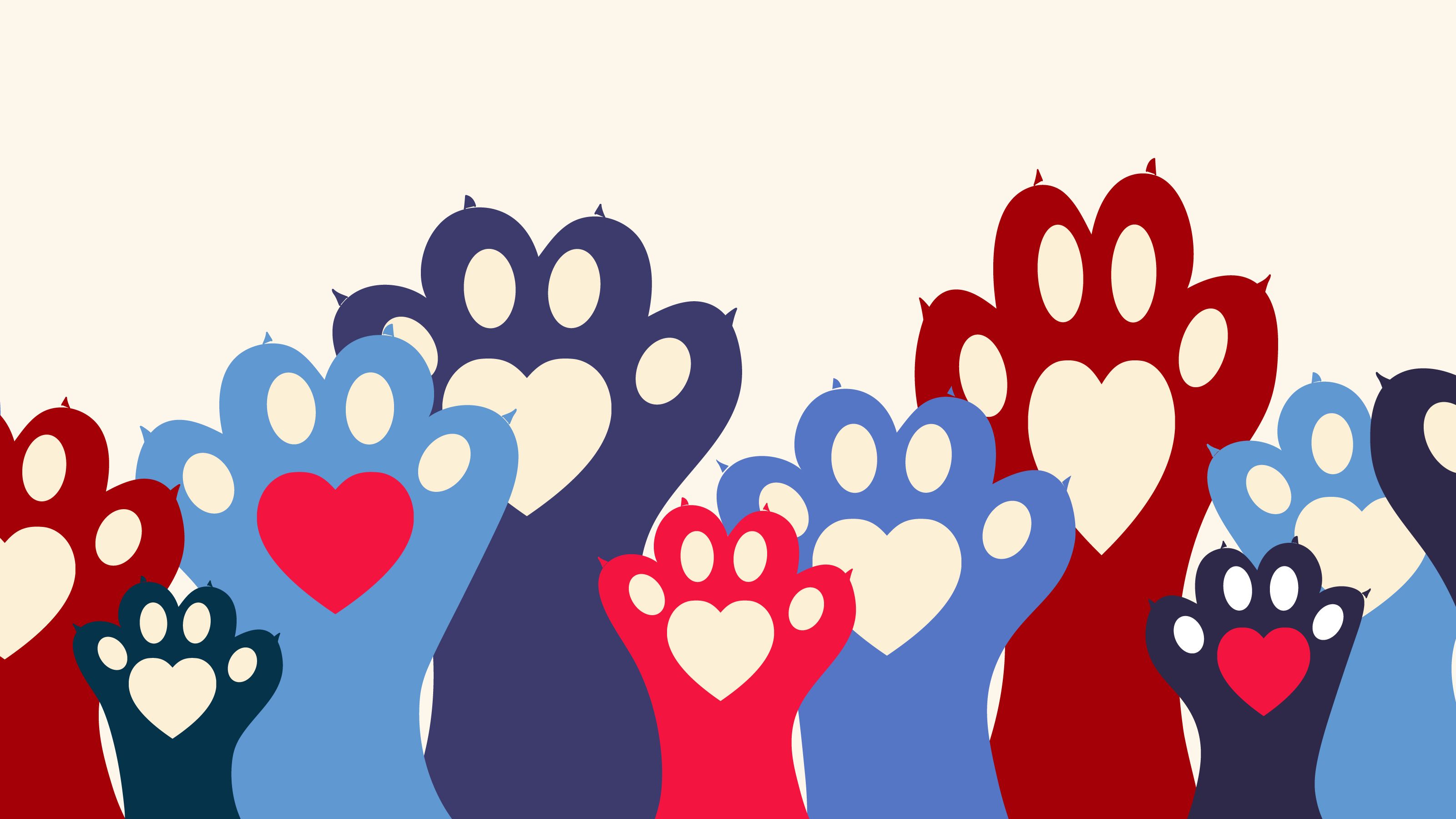 Paws and Portraits with Warm Woodrock