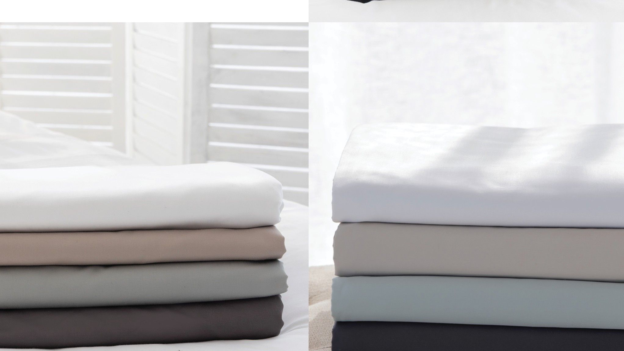 Volpes | Egyptian Cotton