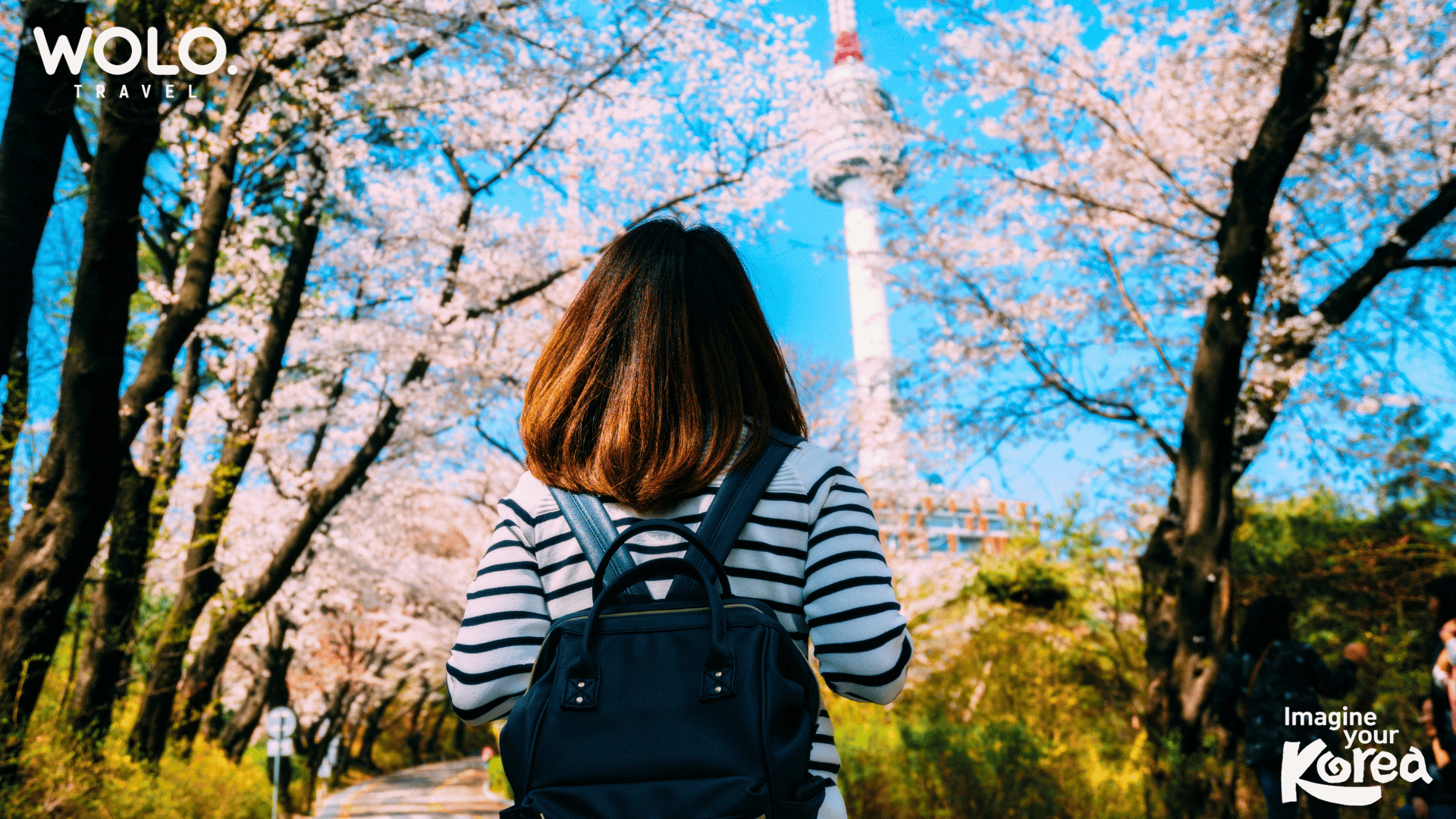 WOLO Travel | Korea Market Day