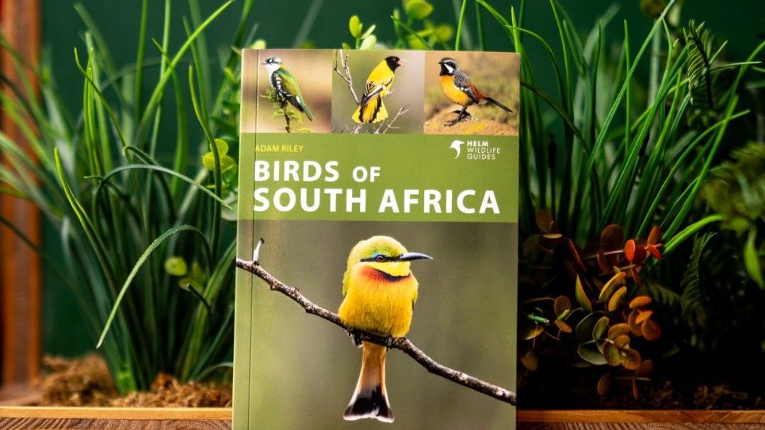 Exclusive Books | Leadership and Self-help reads
