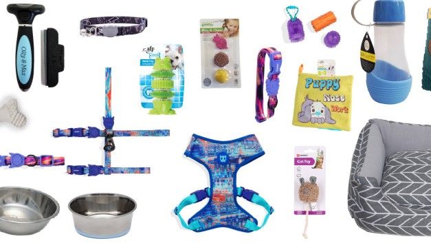 Absolute Pets | Up to 50% Off