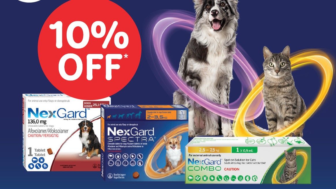 Absolute Pets | Save 10% Off NexGard Products