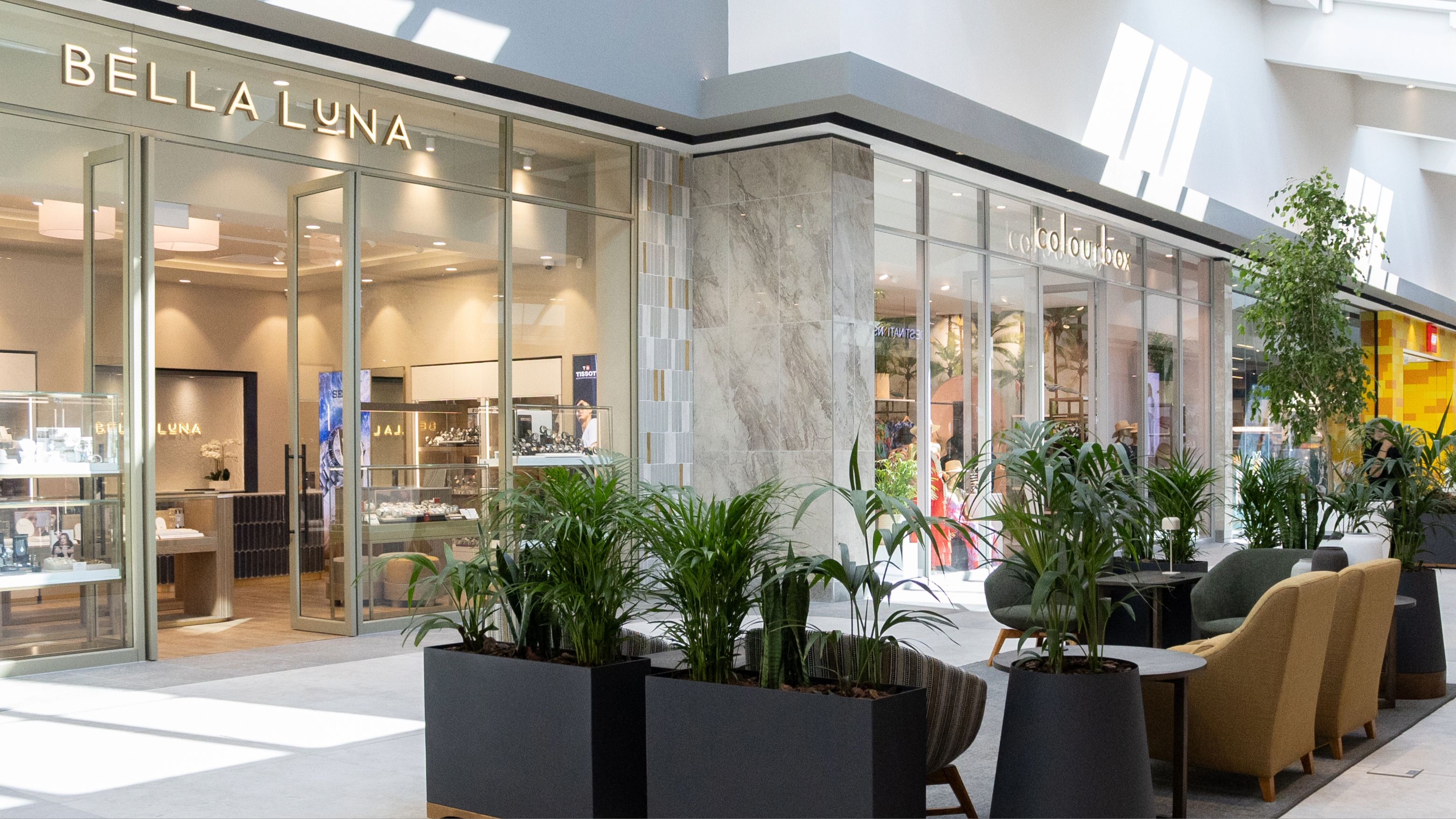 Somerset Mall Has Expanded: Discover the New Experience