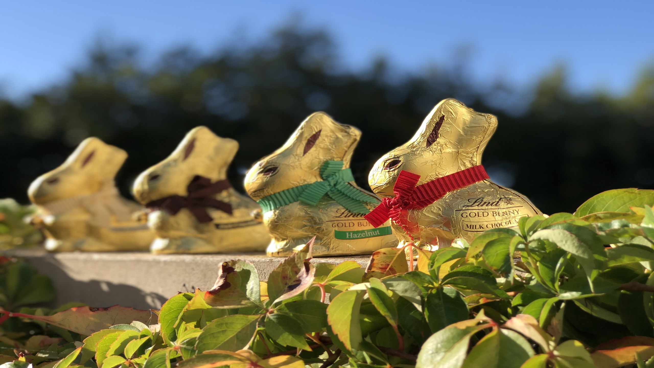 Lindt | Buy 3 Get 1 Free Lindt Gold Bunnies