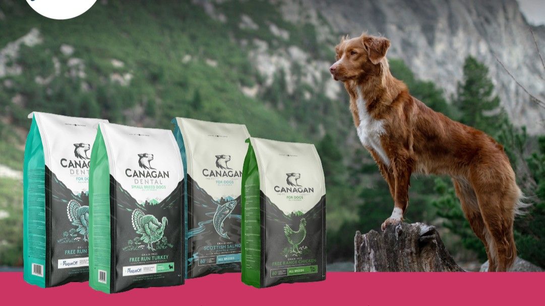 Absolute Pets | Save on Canagan