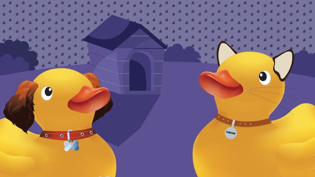 The Crazy  | Pets Promotion