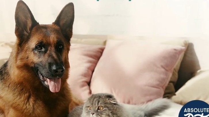 Absolute Pets | 20% Off Lokuno Dry Food