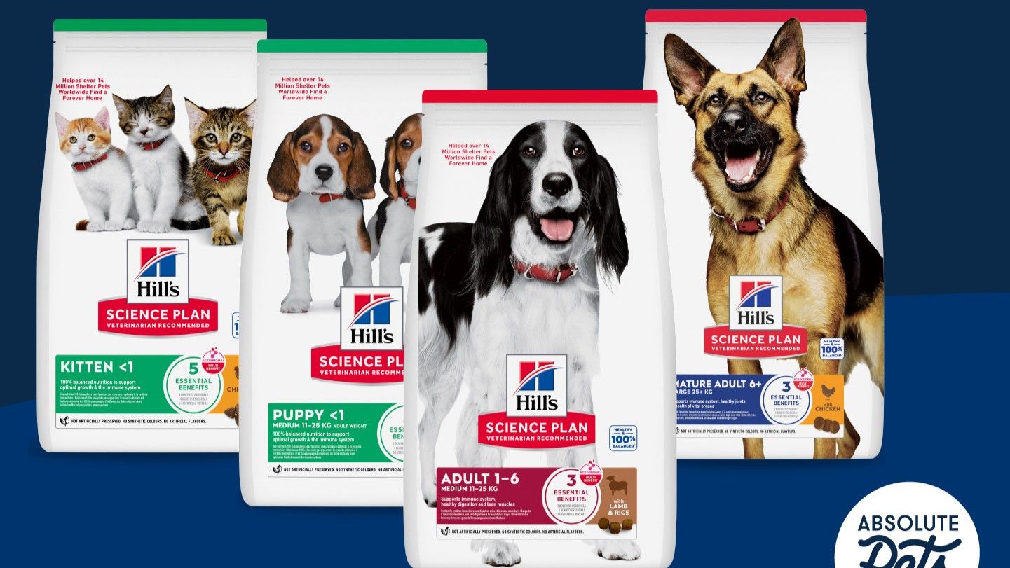 Absolute Pets | 20% Off Special Offer